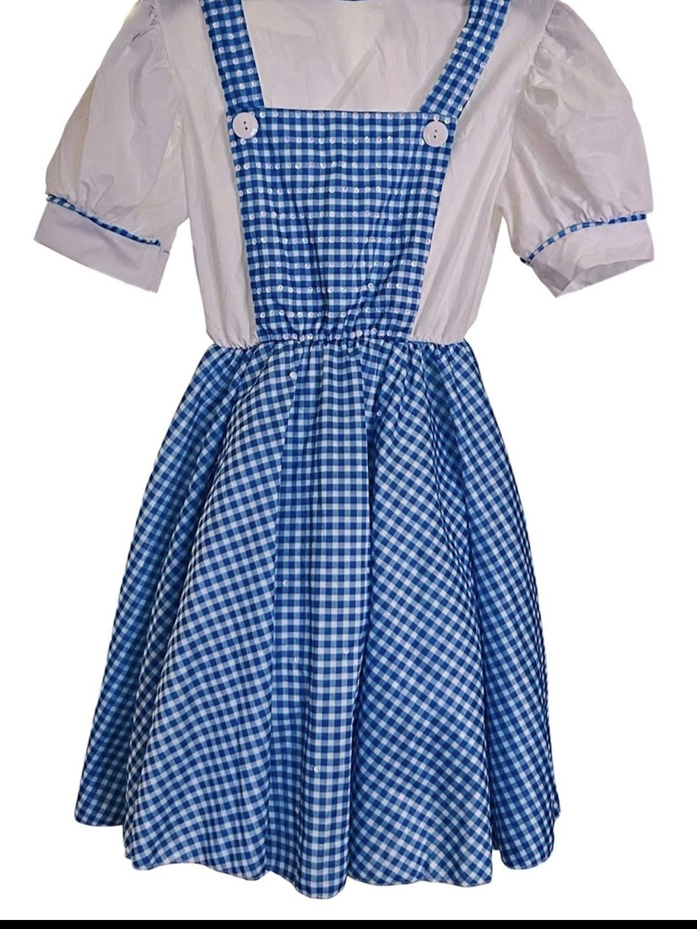 Blue Gingham Adult Costume Dress with White Blouse Sz L